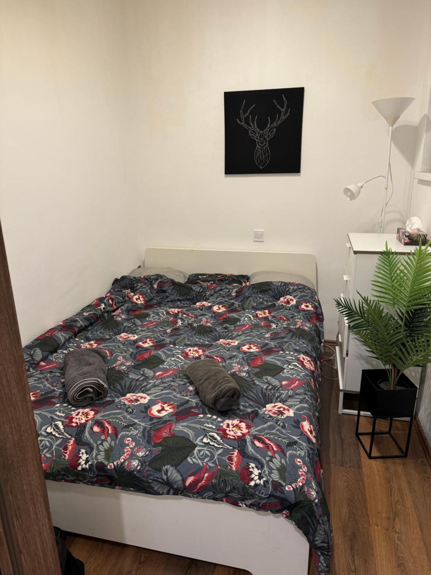 Apartment Da Vinci Loft Ap By Corvin Promenade Tram Line 4-6 Budapest
