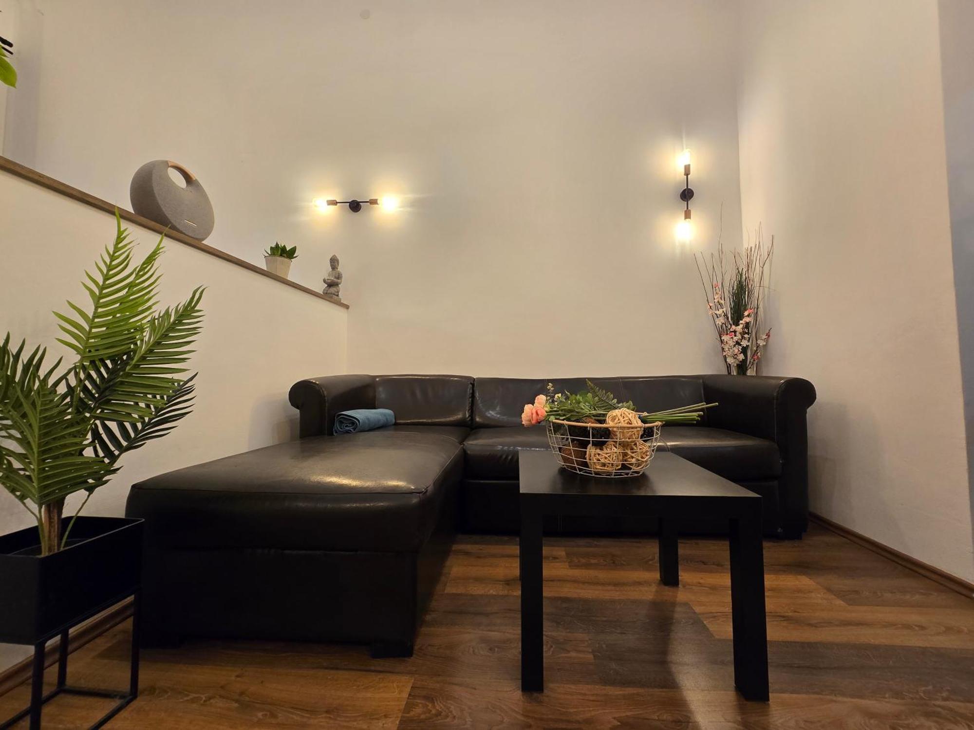 Da Vinci Loft Ap By Corvin Promenade Tram Line 4-6 Apartment *